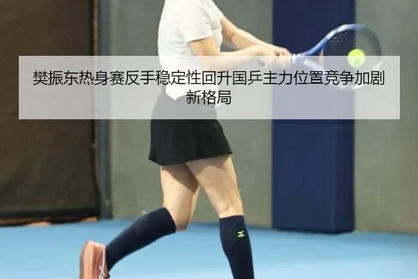 樊振东热身赛反手稳定性回升国乒主力位置竞争加剧新格局